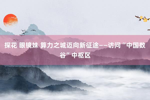 探花 眼镜妹 算力之城迈向新征途——访问“中国数谷”中枢区