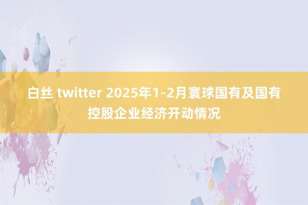 白丝 twitter 2025年1-2月寰球国有及国有控股企业经济开动情况