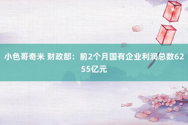 小色哥奇米 财政部：前2个月国有企业利润总数6255亿元