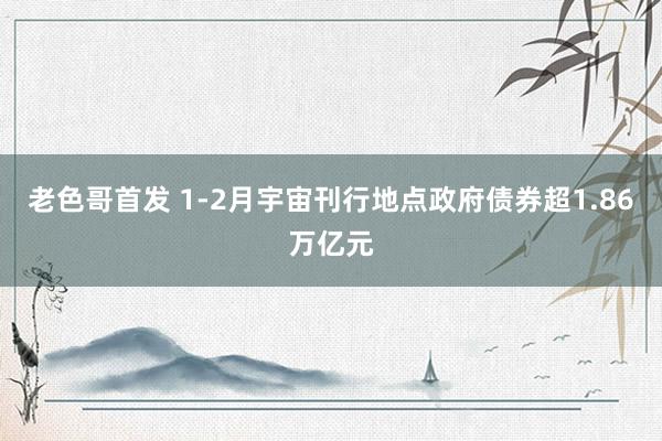 老色哥首发 1-2月宇宙刊行地点政府债券超1.86万亿元