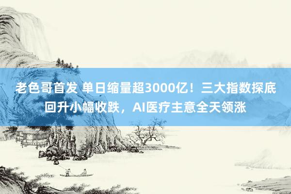 老色哥首发 单日缩量超3000亿！三大指数探底回升小幅收跌，AI医疗主意全天领涨