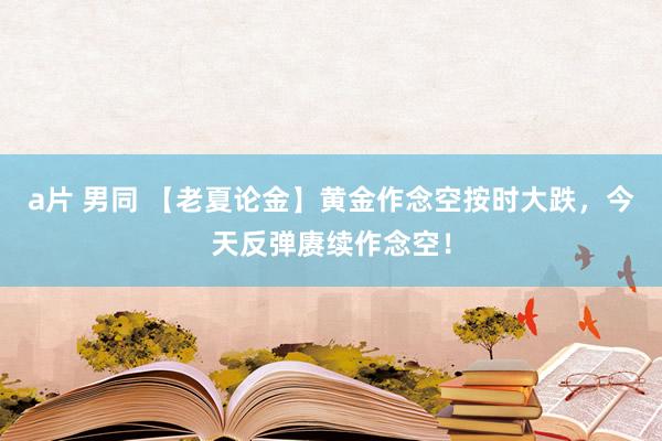 a片 男同 【老夏论金】黄金作念空按时大跌，今天反弹赓续作念空！
