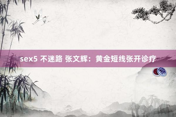 sex5 不迷路 张文辉：黄金短线张开诊疗