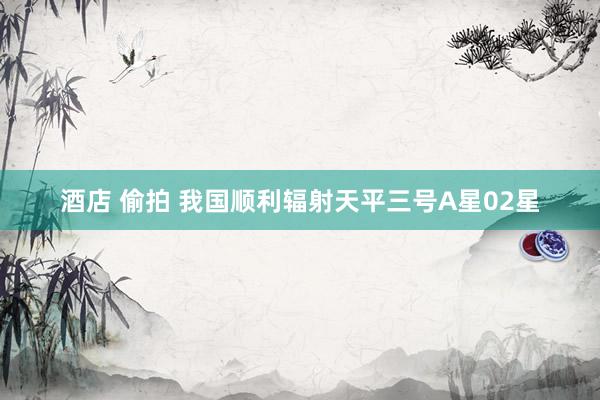 酒店 偷拍 我国顺利辐射天平三号A星02星