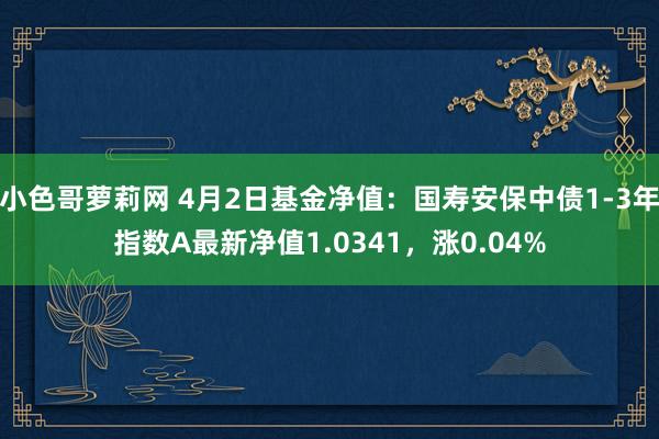 小色哥萝莉网 4月2日基金净值：国寿安保中债1-3年指数A最新净值1.0341，涨0.04%
