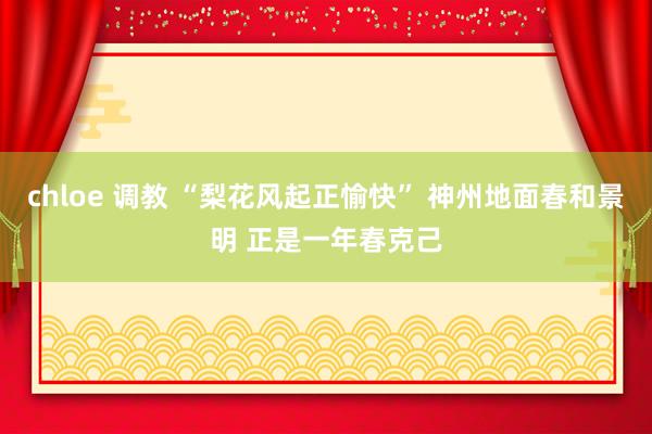 chloe 调教 “梨花风起正愉快” 神州地面春和景明 正是一年春克己