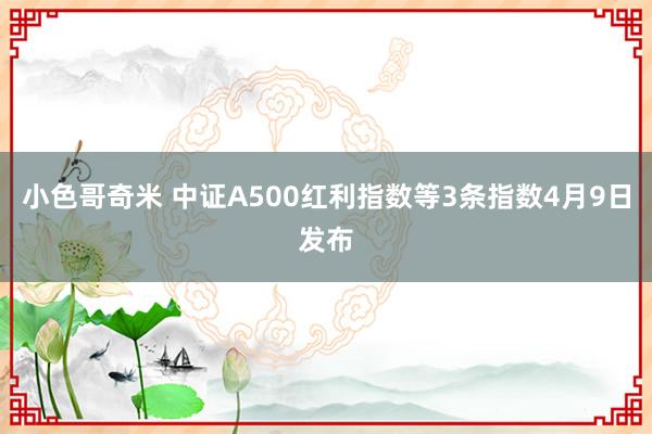 小色哥奇米 中证A500红利指数等3条指数4月9日发布