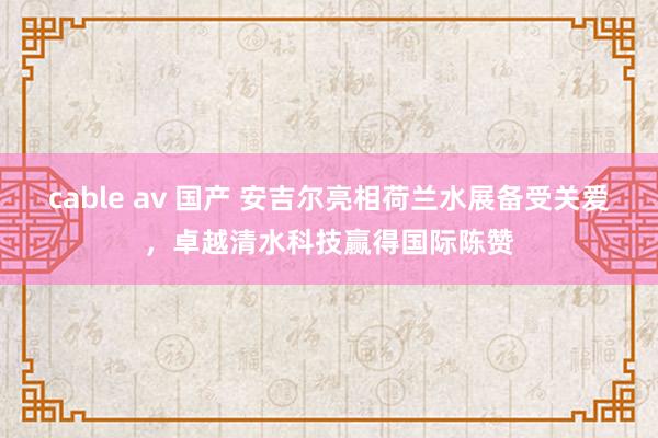 cable av 国产 安吉尔亮相荷兰水展备受关爱，卓越清水科技赢得国际陈赞