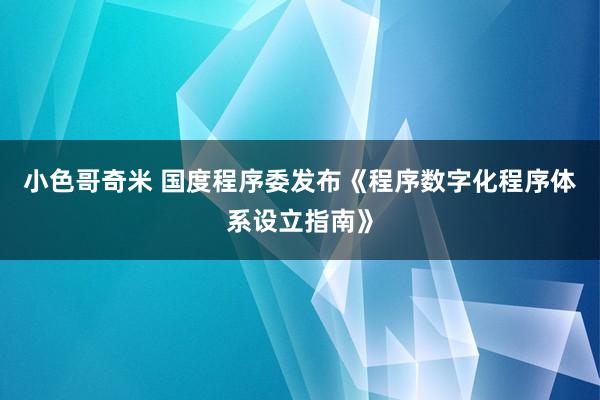 小色哥奇米 国度程序委发布《程序数字化程序体系设立指南》