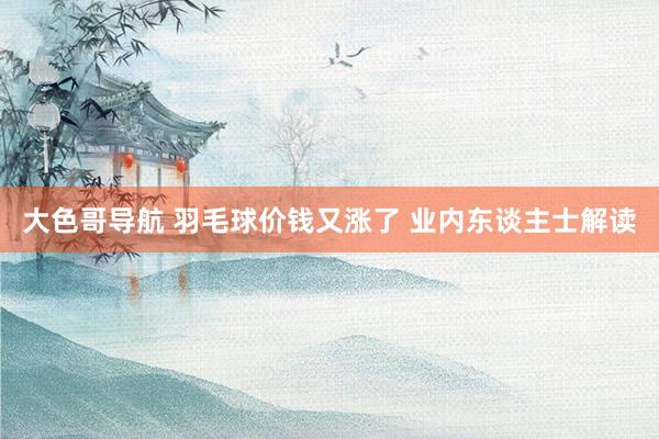 大色哥导航 羽毛球价钱又涨了 业内东谈主士解读
