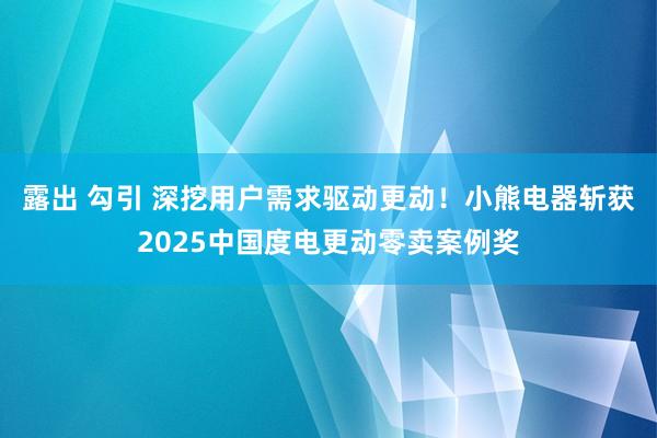 露出 勾引 深挖用户需求驱动更动！小熊电器斩获2025中国度电更动零卖案例奖