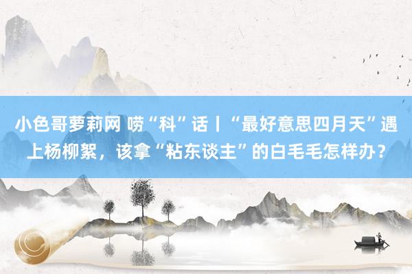 小色哥萝莉网 唠“科”话丨“最好意思四月天”遇上杨柳絮，该拿“粘东谈主”的白毛毛怎样办？
