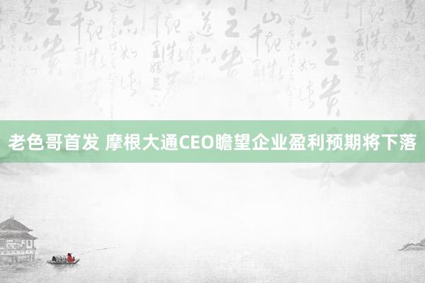 老色哥首发 摩根大通CEO瞻望企业盈利预期将下落