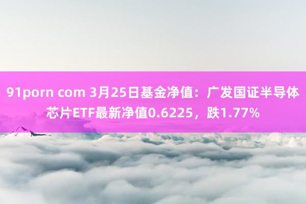 91porn com 3月25日基金净值：广发国证半导体芯片ETF最新净值0.6225，跌1.77%