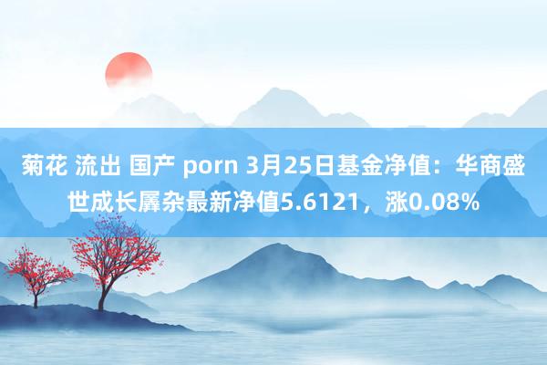 菊花 流出 国产 porn 3月25日基金净值：华商盛世成长羼杂最新净值5.6121，涨0.08%