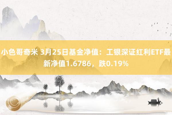 小色哥奇米 3月25日基金净值：工银深证红利ETF最新净值1.6786，跌0.19%