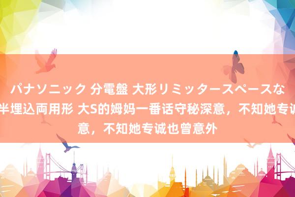 パナソニック 分電盤 大形リミッタースペースなし 露出・半埋込両用形 大S的姆妈一番话守秘深意，不知她专诚也曾意外