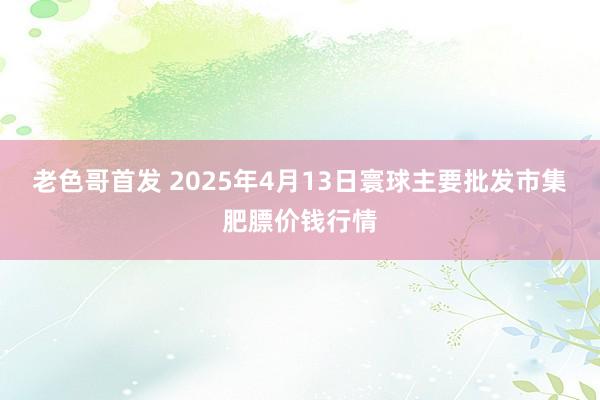 老色哥首发 2025年4月13日寰球主要批发市集肥膘价钱行情