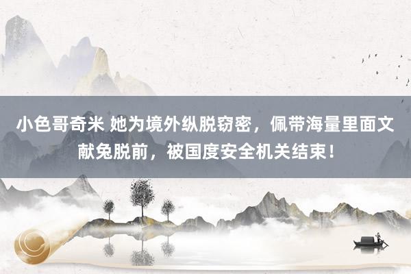 小色哥奇米 她为境外纵脱窃密，佩带海量里面文献兔脱前，被国度安全机关结束！