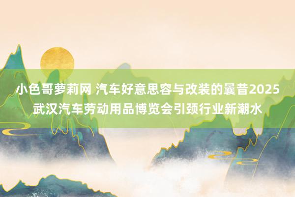 小色哥萝莉网 汽车好意思容与改装的曩昔2025武汉汽车劳动用品博览会引颈行业新潮水