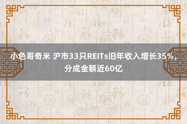 小色哥奇米 沪市33只REITs旧年收入增长35%，分成金额近60亿