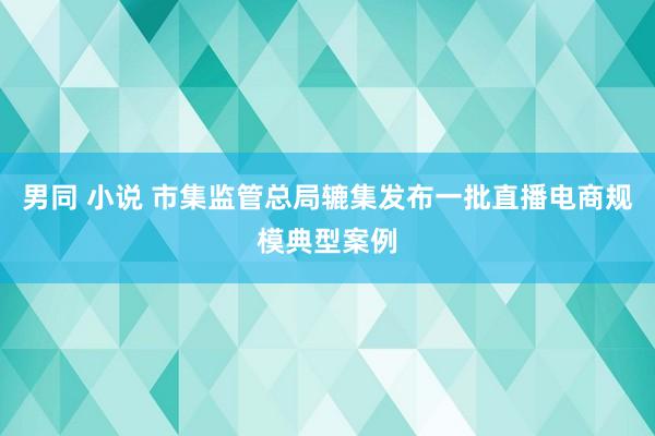 男同 小说 市集监管总局辘集发布一批直播电商规模典型案例