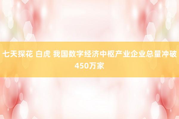 七天探花 白虎 我国数字经济中枢产业企业总量冲破450万家