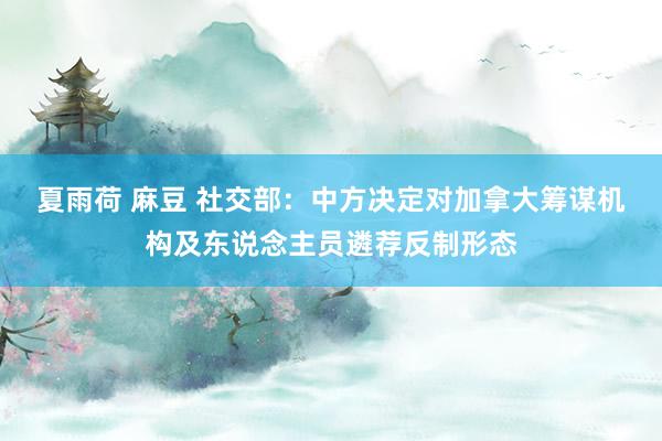 夏雨荷 麻豆 社交部：中方决定对加拿大筹谋机构及东说念主员遴荐反制形态