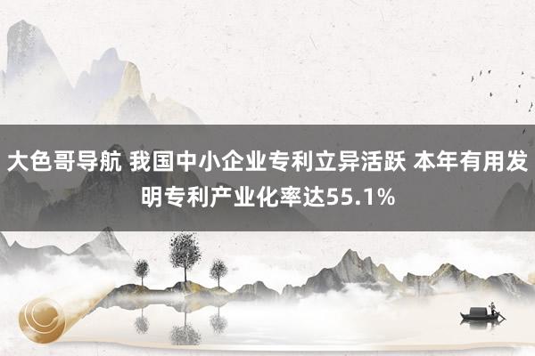 大色哥导航 我国中小企业专利立异活跃 本年有用发明专利产业化率达55.1%