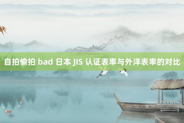 自拍偷拍 bad 日本 JIS 认证表率与外洋表率的对比