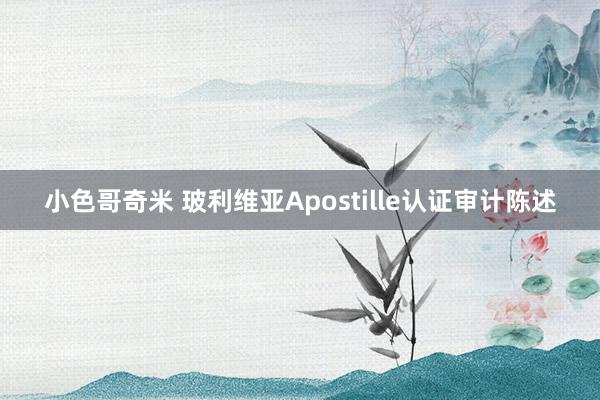 小色哥奇米 玻利维亚Apostille认证审计陈述