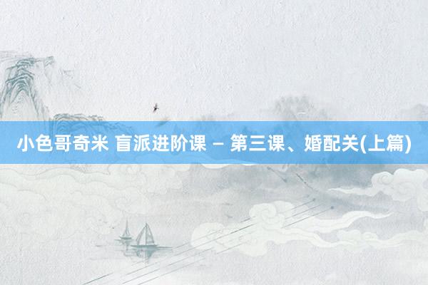 小色哥奇米 盲派进阶课 — 第三课、婚配关(上篇)