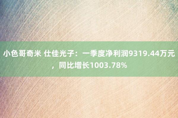 小色哥奇米 仕佳光子：一季度净利润9319.44万元，同比增长1003.78%
