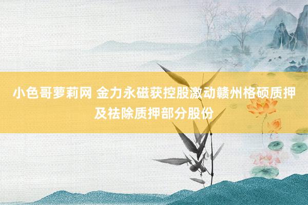 小色哥萝莉网 金力永磁获控股激动赣州格硕质押及祛除质押部分股份