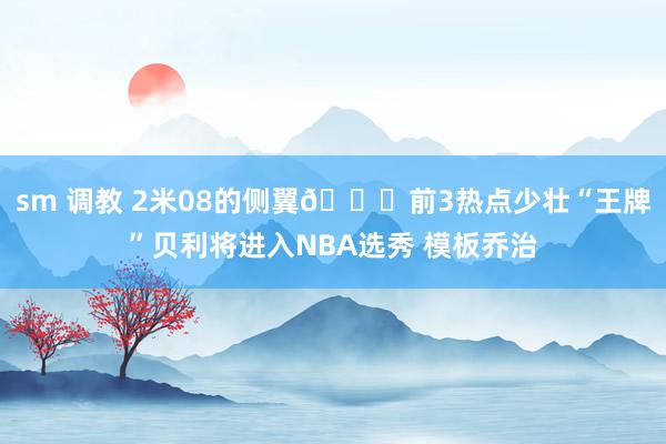 sm 调教 2米08的侧翼👀前3热点少壮“王牌”贝利将进入NBA选秀 模板乔治