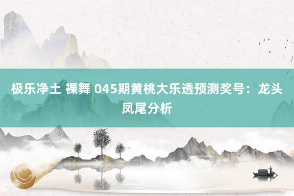 极乐净土 裸舞 045期黄桃大乐透预测奖号：龙头凤尾分析