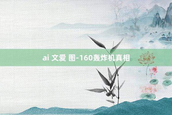 ai 文爱 图-160轰炸机真相