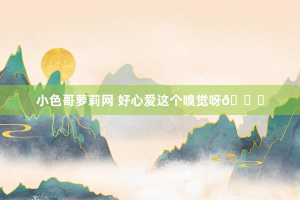 小色哥萝莉网 好心爱这个嗅觉呀🍃