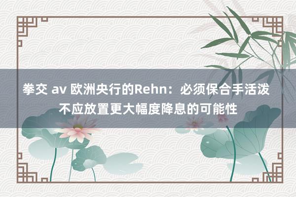 拳交 av 欧洲央行的Rehn：必须保合手活泼 不应放置更大幅度降息的可能性